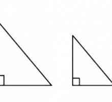 Prvi znak jednakosti trokuta. Drugi i treći znakova jednakosti trokuta