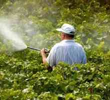 Pesticidi - supstance koje ubijaju štetočine