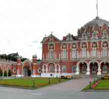 Petrovsky Palace - izlete i foto