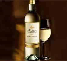 "Pinot Grigio" - vino, koja simbolizira ljetno popodne