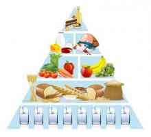 Piramide ishrane - osnova ishrane svaki dan