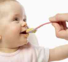 Hranjenje djece u 11 mjeseci: dijeta, recepti i menije. Dijete je u prvih 11 mjeseci: rast, ishrane…