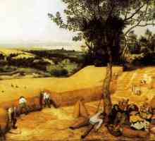 Pieter Bruegel Stariji: slike (list)