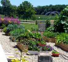 Planiranje vrt i povrtnjak i okućnica