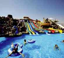 Planiramo odmor s djecom: Hoteli u Turskoj sa vodeni park i zabavni park