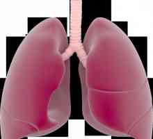 Tuberkulozni pleuritis: vrste, uzroci i tretmani