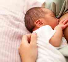 Stan bradavice - kako dojiti svoju bebu? Kako izvući ravne bradavice: stručne savjete i dojilja