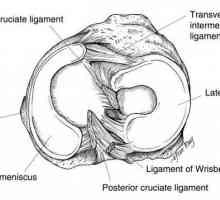 Zašto crunches koljena u fleksiji? Uzroci i tretman