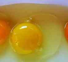 Zašto kokoši nose jaja bez ljuske? Šta da nahrani kokoši nesilica kod kuće