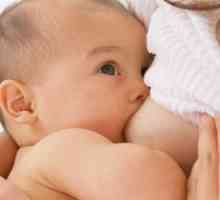 Zašto majčino mlijeko je toliko važan za bebu i majku