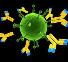 Zašto neki ljudi nisu bolesni dvaput bolest: razvoj imuniteta, vakcinacija