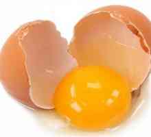 Detalji o tome koliko proteina u jedno jaje