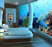 Podvodni hotel u Dubaiju u posetu od Captain Nemo