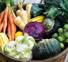 Podzimny sadnje povrća. Tajne i Savjeti Fulham, vrtlari i vrtlari