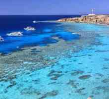 Poinciana Sharm Resort 4 * (Egipat / Sharm El Sheikh): slike, cijene i recenzije