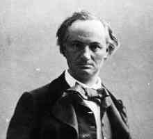 Pjesnik Charles Baudelaire: A Biography, kreativnost