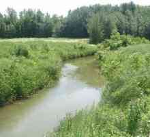 Meadows: opis, karakteristike. Vegetacije i tla poplavljeno livadama