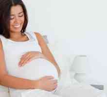 Korisno ako rotkvice tokom trudnoće?
