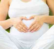 Korisne vježbe za trudnice (1 termin). Ono što možete učiniti gimnastiku za trudnice