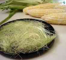 Korisni kukuruzne svile: ljekovita svojstva i recepti za izmišljotine