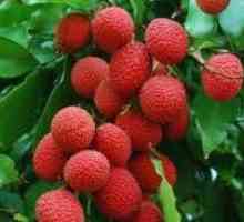 Korisni svojstva ličija - egzotičnog voća iz tropima