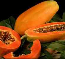 Korisni svojstva papaje - za zdravlje i ljepotu