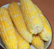 Korisni svojstva kuhanog kukuruza: pričajmo o vrijednih žitarica
