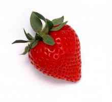 Korisni svojstva Strawberry: skladište vitamina u malom bobica