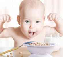 Dobra ishrana: recept za dijete do godinu dana. Ono što vam mogu dati svoju bebu od godinu dana.…
