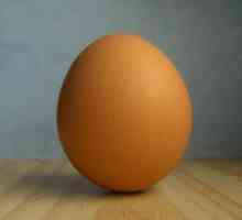 Koristi i štete od kokošije jaje. Najinteresantniji
