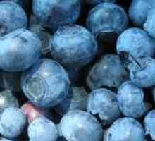 Upotreba bobica i njihov sadržaj kalorija: borovnice