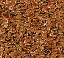Prednosti Flax Seed: medicine, poznat od davnina