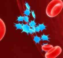 Smanjena trombociti u krvi: uzroci i tretman