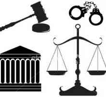 Pojam i elementi pravnog sistema - osnovu sudske prakse organizacije društva
