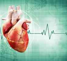 Srčanih bolesti kod djece. Kongenitalne i stečene bolesti srca kod djece