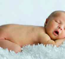 Potnichka beba: kako tretirati? Dokazana načinima borbe potnichkoy bebe