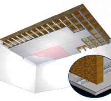 Rigips strop u spavaćoj sobi: karakteristike dizajna
