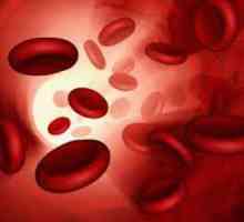 Povišena hemoglobina u krvi - šta to znači? Indikatori hemoglobina starosti