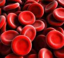 Povećana crvenih krvnih zrnaca u krvi ili urina: glavni razlozi