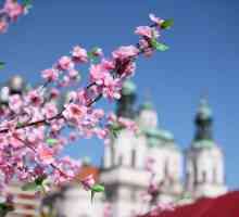 Pragu može: vremena i mišljenja. Što vidjeti u Pragu u maju?