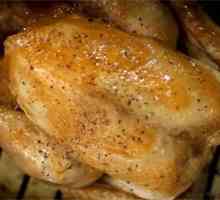 Holiday Recepti: Piletina-krastavac u šampanjcu, piletina, krastavci u sosu od pomorandže