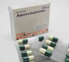 Lek "amoksicilin": uputstva za pilule upotrebu ili kako da pobjedi infekcije