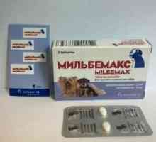 Lek "milbemaks" za pse: liječenje crijevna glista infekcija