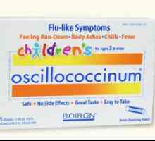 Proizvod "Oscillococcinum": analogni. Šta može zamijeniti "Oscillococcinum"?