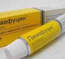 Lek "pimafutsin" (mast, tablete, čepići). sažetak