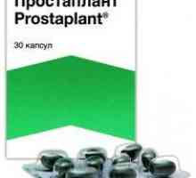 Lek "Prostaplant": uputstva za upotrebu, stvarna