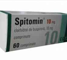 Lek "Spitomin": Komentari doktora, uputstva za upotrebu, sastav i čitanje