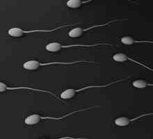 Pod kojim bolesti pojavljatsja transparentan sperme