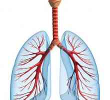 Uzroci i simptomi upale pluća kod djeteta