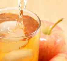 Priprema soka od jabuke: tips